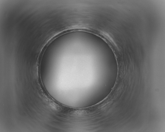 X0000073481268200608140807