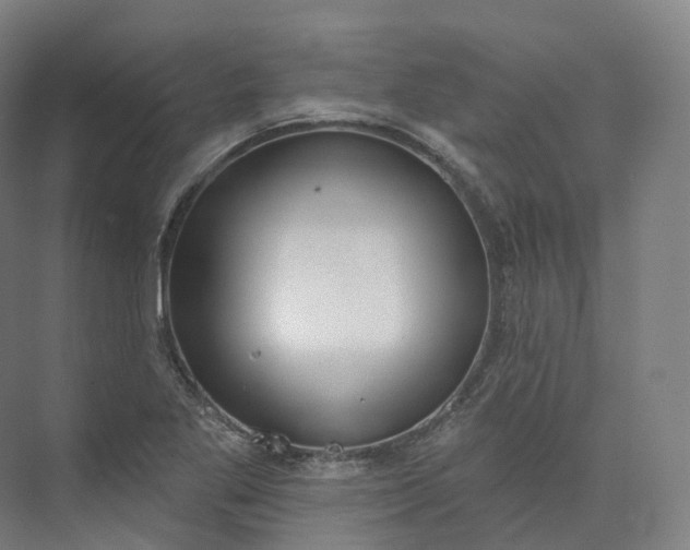 X0000073481269200608140807