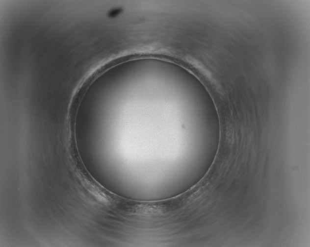 X0000073481270200608140807