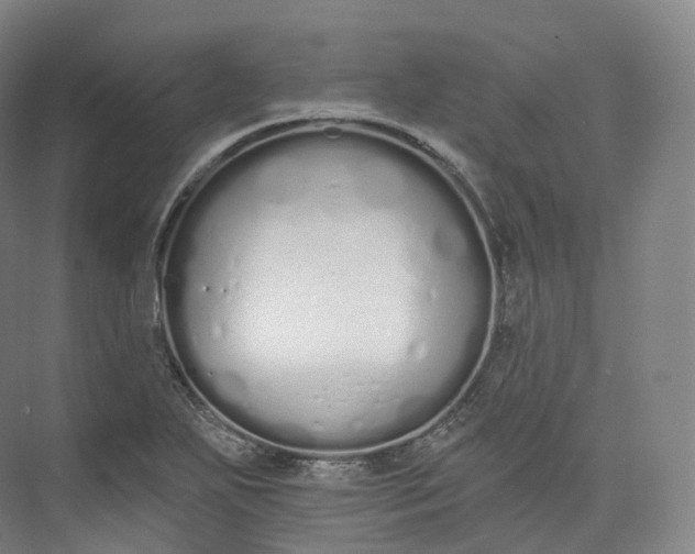 X0000073481271200608140807