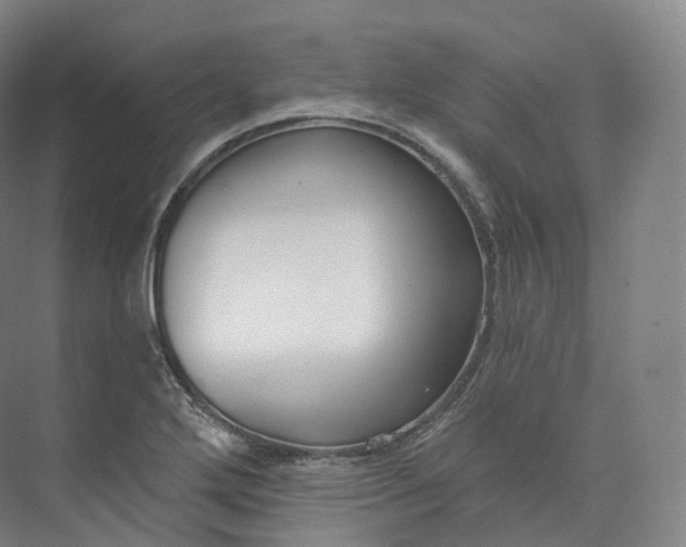 X0000073481272200608140807