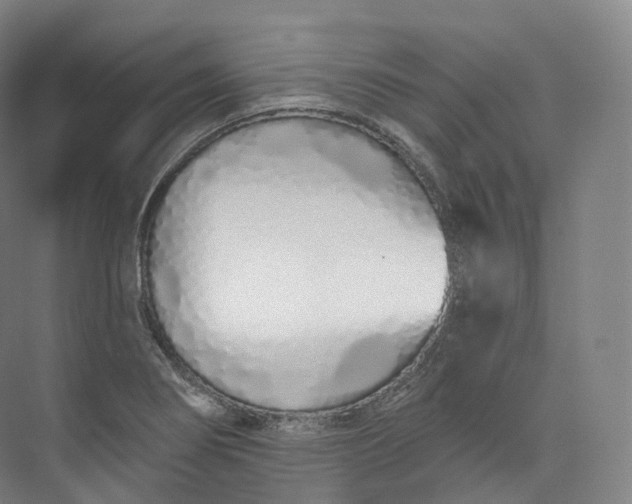 X0000073481274200608140807