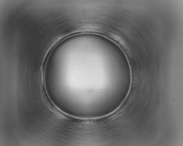 X0000073481275200608140807