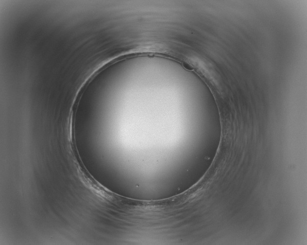 X0000073481276200608140807