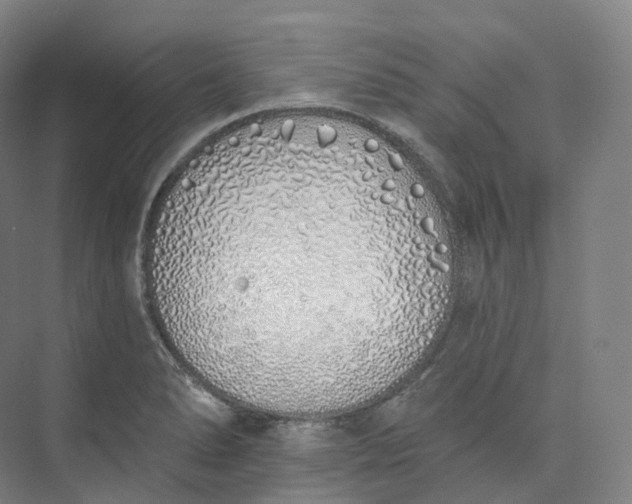 X0000073481278200608140807