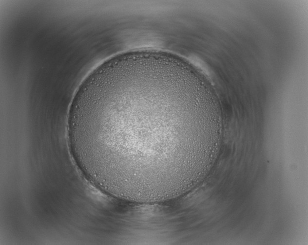 X0000073481279200608140807