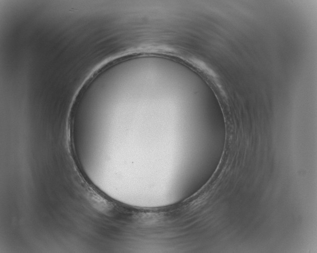 X0000073481280200608140807