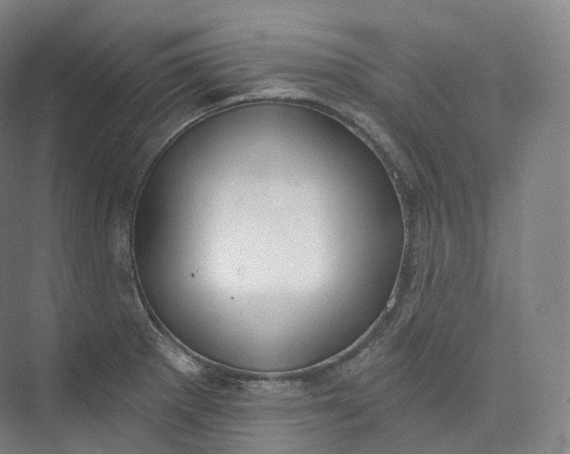 X0000073481281200608140807