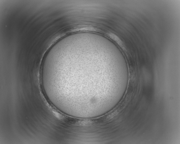 X0000073481282200608140807