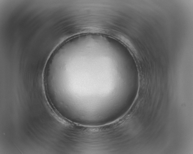 X0000073481283200608140807