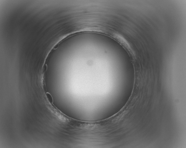 X0000073481284200608140807