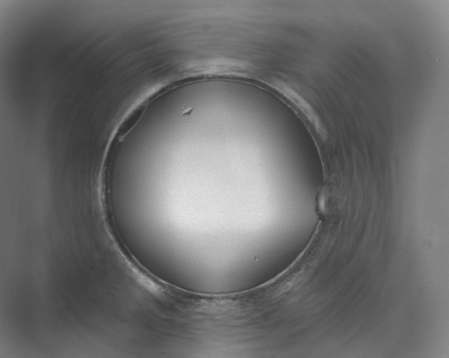 X0000073481285200608140806