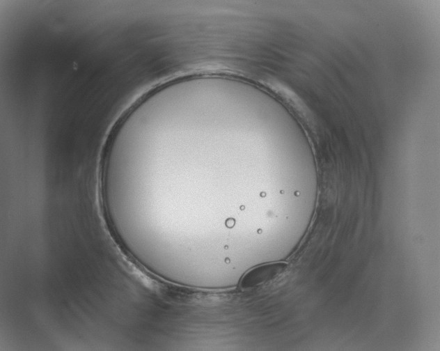 X0000073481286200608140806