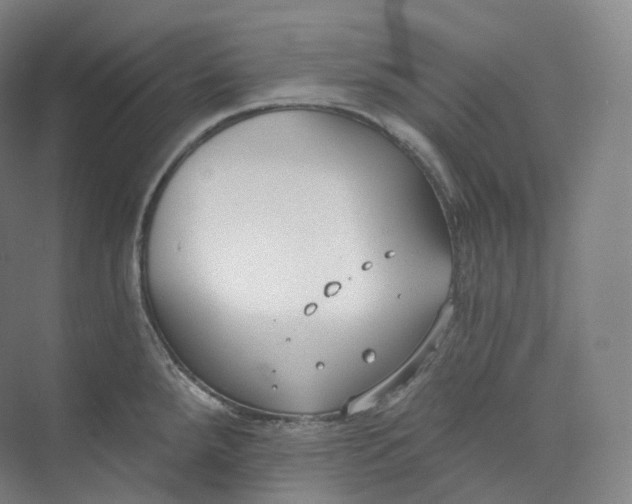 X0000073481288200608140806