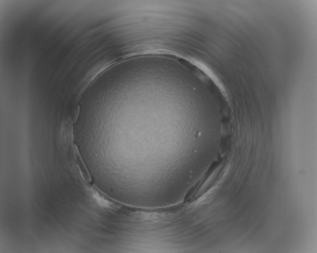 X0000073481289200608140806