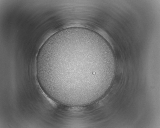 X0000073481290200608140806