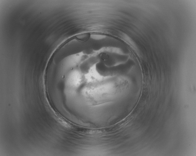 X0000073481291200608140806