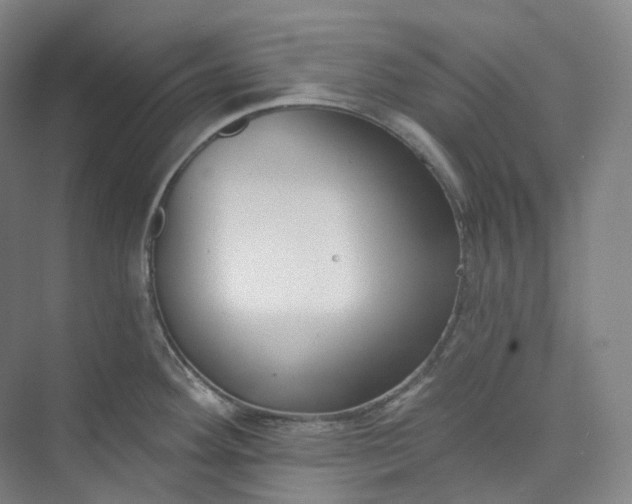 X0000073481292200608140806