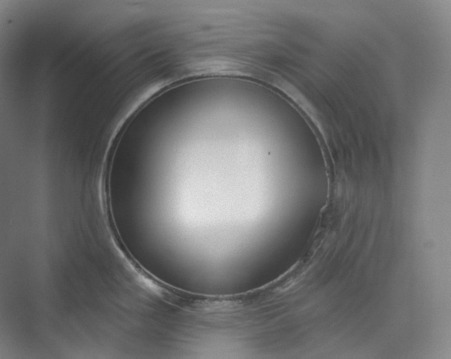 X0000073481293200608140806