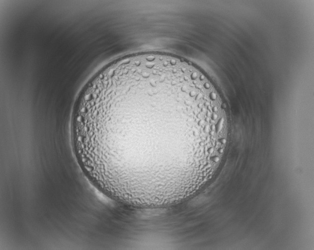 X0000073481294200608140806