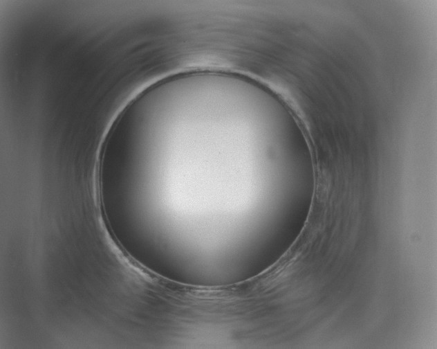 X0000073481295200608140806