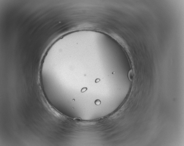 X0000073481296200608140806