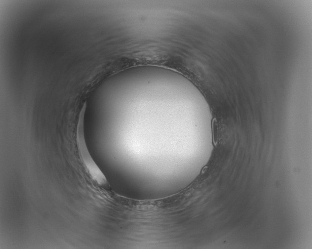 X0000073481297200608140805