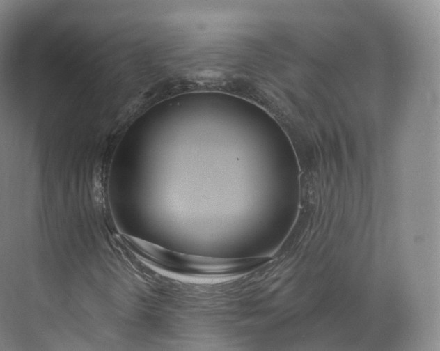 X0000073481298200608140806