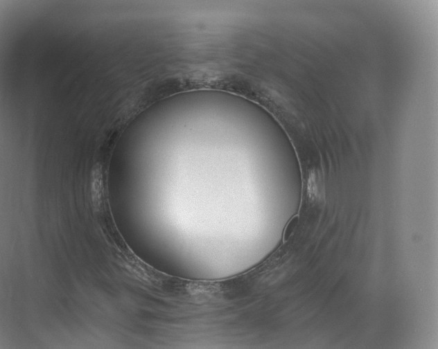 X0000073481299200608140806