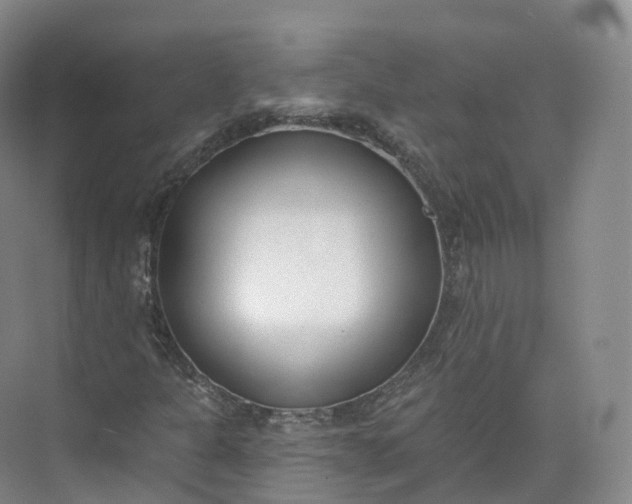 X0000073481301200608140806