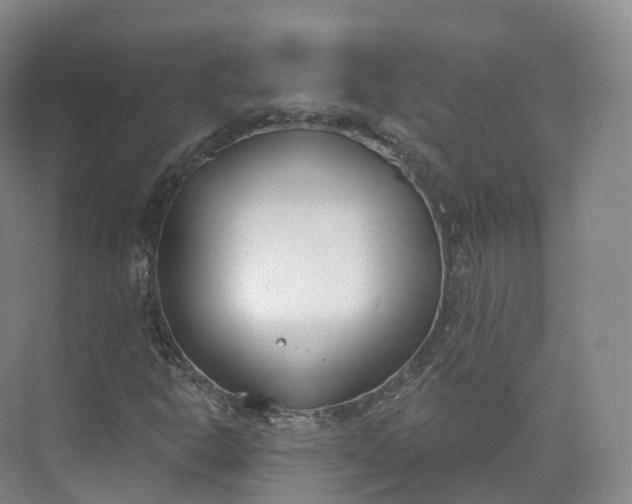 X0000073481302200608140806