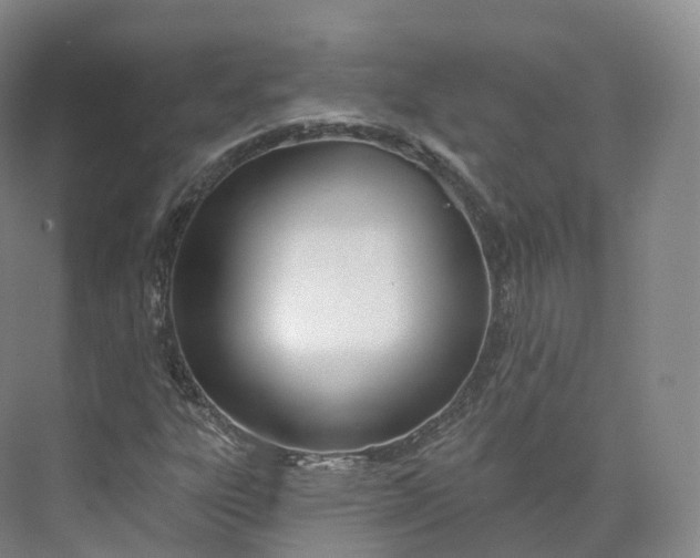 X0000073481303200608140806