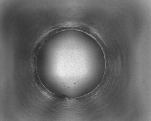 X0000073481304200608140806