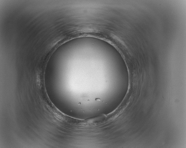 X0000073481305200608140806