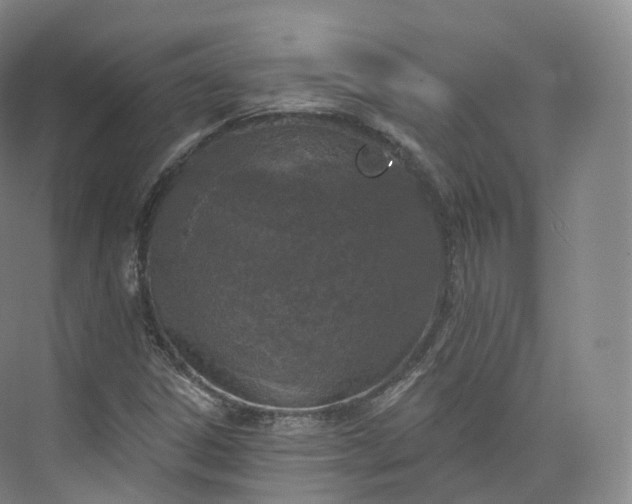 X0000073481306200608140806