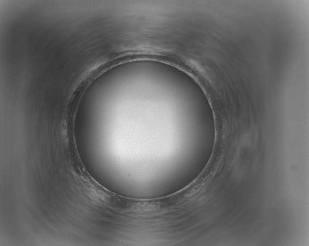 X0000073481307200608140806