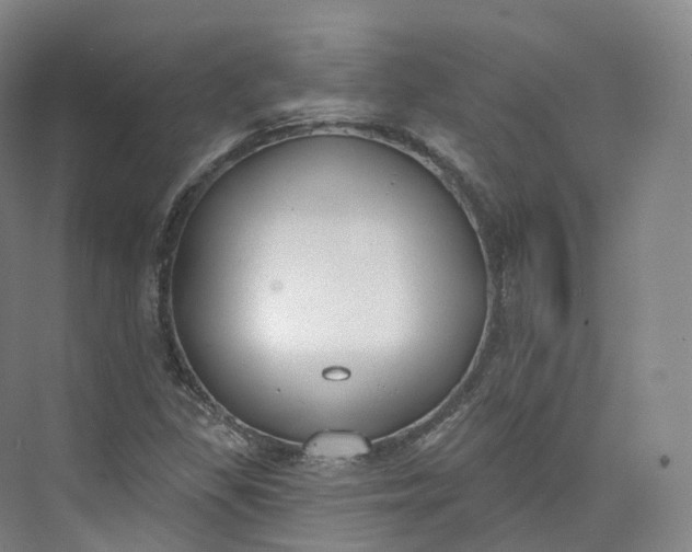 X0000073481309200608140806