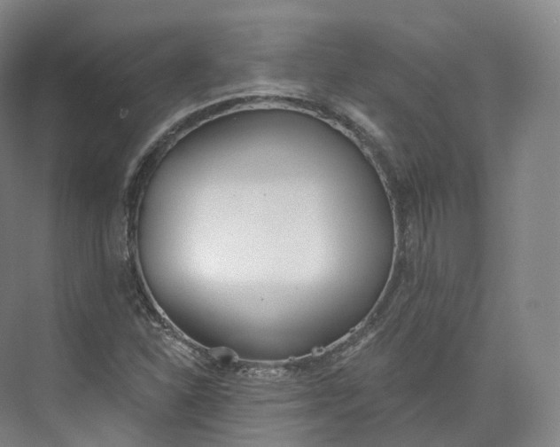 X0000073481310200608140806