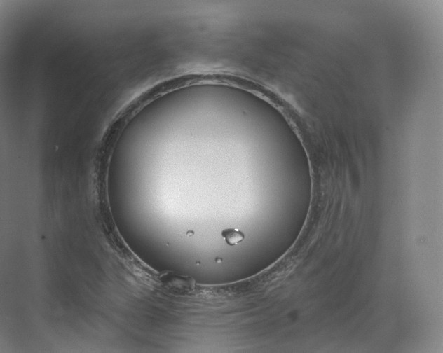 X0000073481311200608140806