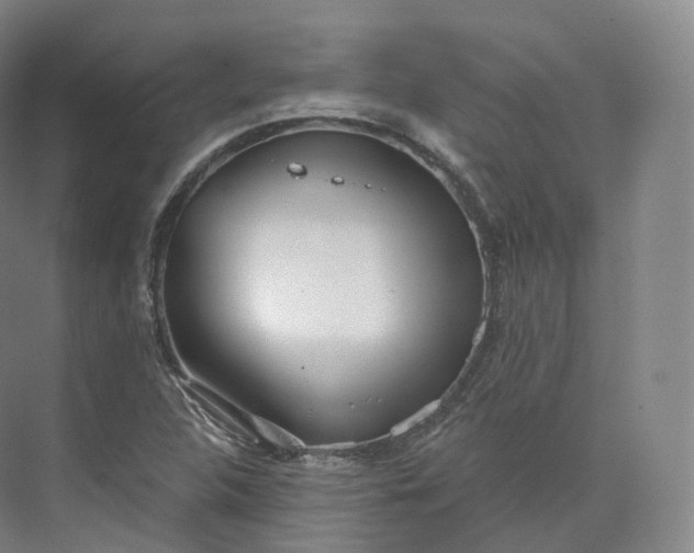 X0000073481312200608140806