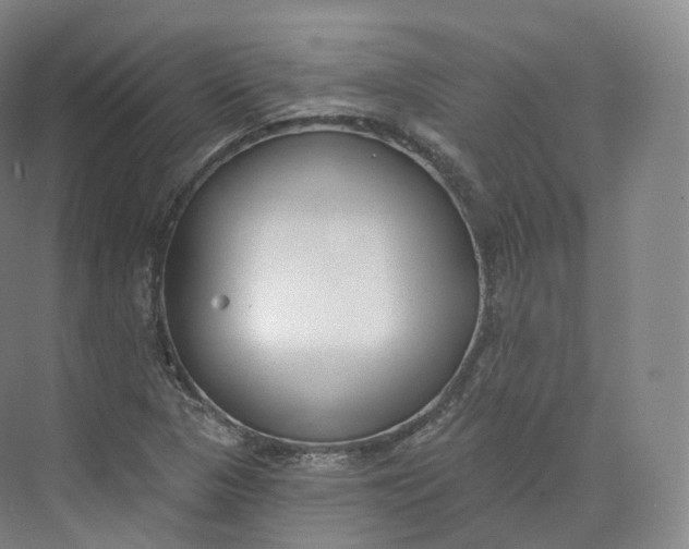 X0000073481313200608140806