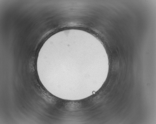 X0000073481314200608140806