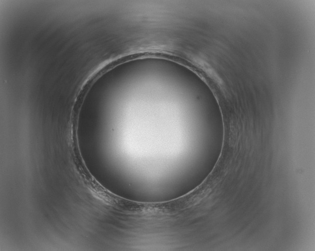 X0000073481316200608140806