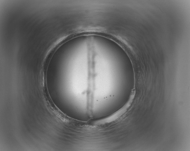 X0000073481317200608140806