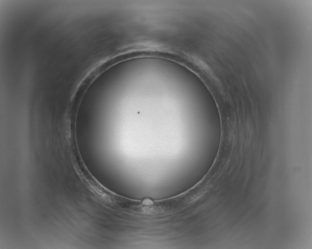 X0000073481318200608140806