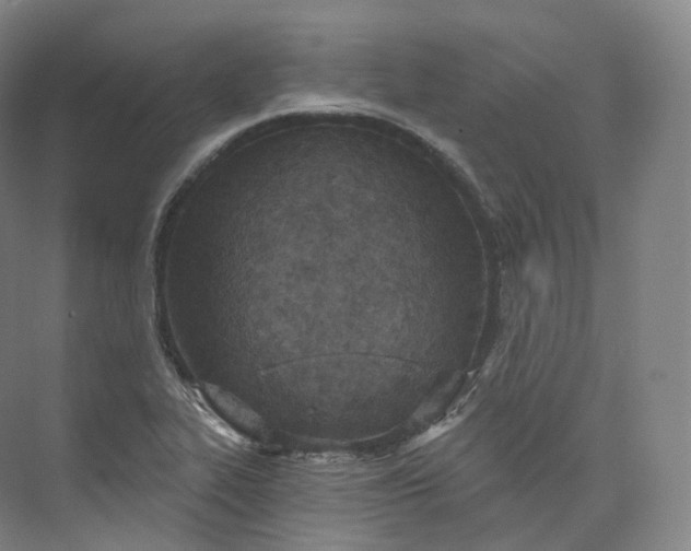 X0000073481319200608140806