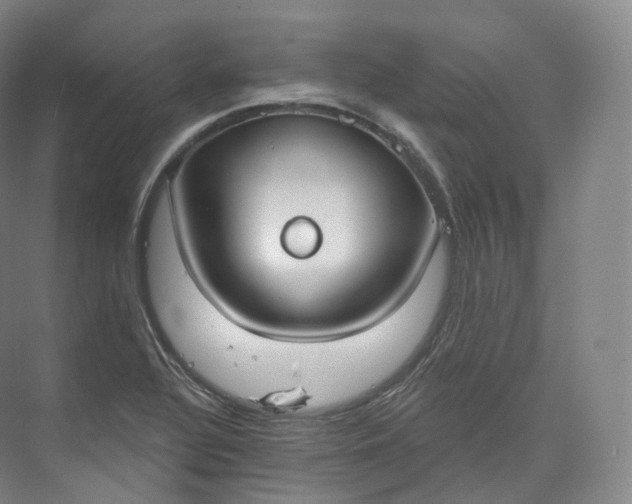 X0000073481320200608140806