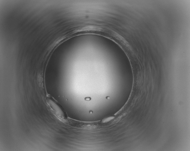 X0000073481321200608140806