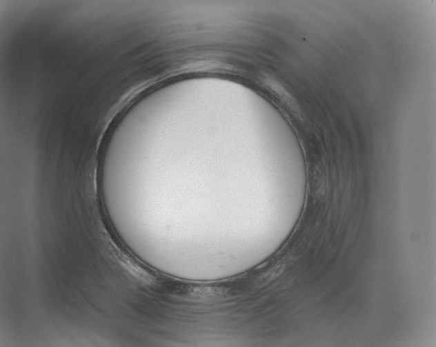 X0000073481322200608140806