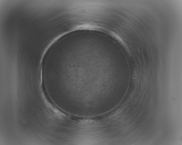 X0000073481323200608140806